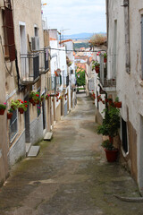 Calle en pueblo rural de España.