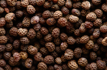 Poppy seeds, super macro, texture, topview, organic space, focus stacking