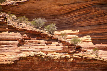 Outback, Stein, Struktur, Textur