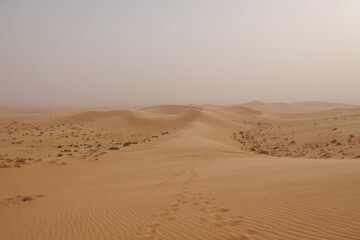Fototapeta na wymiar Città di Ghadames nel deserto della libia