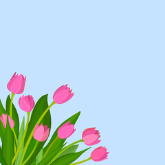 Bouquet of pink tulips on a blue background. Spring banner for your text 
