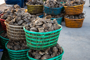 A basket of fresh oysters for sale in Taishan, Guangdong province