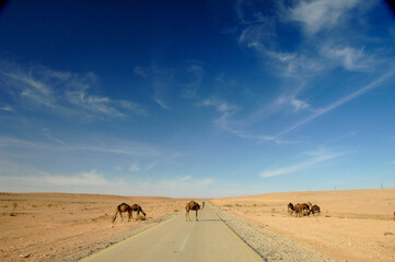 Fototapeta na wymiar Libia tra città e deserti