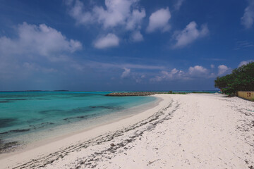 Empty White Sandy Beach with the Palm Trees and Blue Ocean Water on the Paradise Maafushi Island, Maldives
