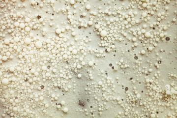 Cosmetic texture molecular capsules ingredient moisturizer face skin care in milk cream