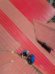 A team of roofers or carpenters installs new corrugated metal roofing with ribbed sheet design on a two storey house. Using a safety harness for protection. Replacing older roof.