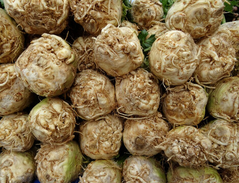 A pile of celery roots on a farmers market stall in the Aegean coastal town Yalikavak, in Bodrum, Turkey.    