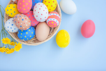 Colorful eggs in a basket with yellow Chrysanthemum flowers on blue background