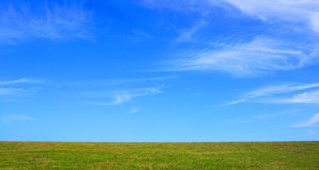 Fototapeta na wymiar Grüne Wiese und weiter blauer Himmel mit Wolken