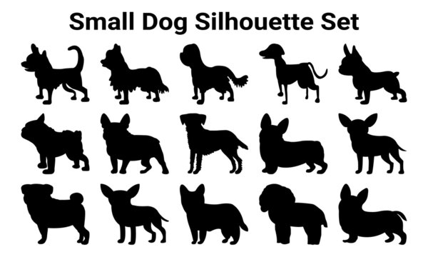Vector silhouette of a dog on white background.