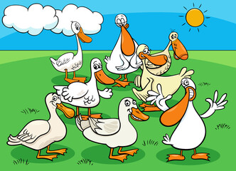 ducks birds farm animal characters group