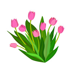 Obraz na płótnie Canvas Bouquet of pink tulips
