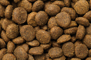 Extreme close up, top down view of high quality, cat or dog dry food. Macro pet food background texture