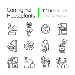 Caring for houseplants linear icons set. Potted plants growing. Correct watering and light. Houseplant care. Customizable thin line symbols. Isolated vector outline illustrations. Editable stroke