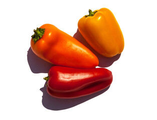 Romano yellow orange red peppers isolated white background