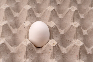 Organic chicken eggs on the table. Eggs are good for everyone and health. Farm products, natural eggs.