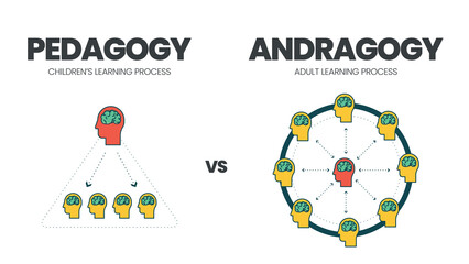 The vector illustration of comparison between pedagogy or child learning and andragogy or adult education. The infographic is different than teachers in adult learning are facilitators, not teaching  - obrazy, fototapety, plakaty