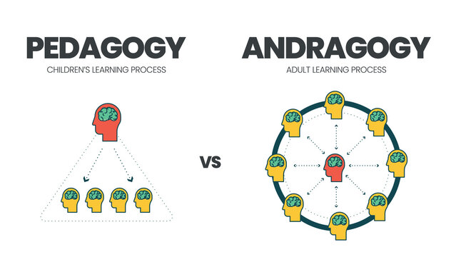 The vector illustration of comparison between pedagogy or child learning and andragogy or adult education. The infographic is different than teachers in adult learning are facilitators, not teaching 