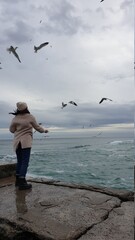a girl feeds pigeons