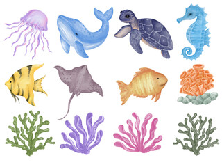 graphiques d& 39 illustration à l& 39 aquarelle Animaux marins et coraux pour affiches, cartes postales, matériel pédagogique, science, impressions numériques, art pour enfants, etc.