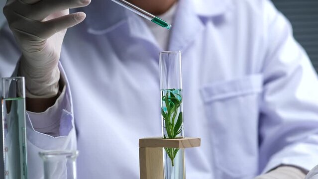 A moment of scientist doing research dripping a blue liquid into test tube with green leaf in laboratory background for experment advertising 