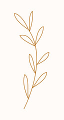 Botanical branch with leaves. Line art, vector illustration.