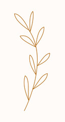 Botanical branch with leaves. Line art, vector illustration.