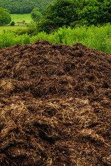 Pile of Manure