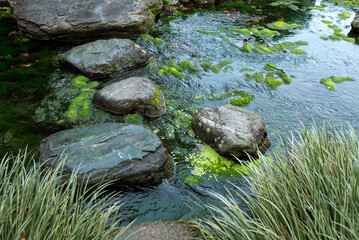 Fototapeta na wymiar Stepping stones across stream in Ritsurin Garden in Takamatsu　日本庭園の小川と飛び石　栗林公園の吹上げ