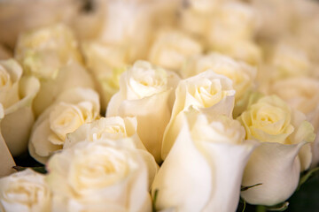 Fototapeta Białe róże na targu kwiatowym obraz