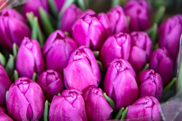 Naklejka premium Świeże tulipany na targu kwiatowym