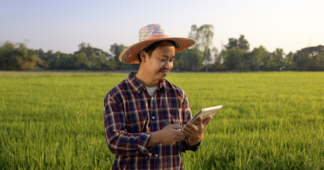 Naklejka na ściany i meble Happy Asian Farmer holding digital tablet and looking at camera green paddy field on background.