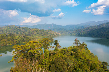 Fototapeta premium Aerial view of lush tropical rain forest trees. Dense vegetation, habitat for wild animals and birds. Top view of Lake Semenyih, artificial lake, water reservoir for Kuala Lumpur. Rainforest lake bay