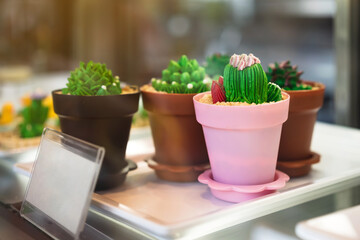 Photo through clear glass to cactus cupcakes for sale in cafe. Cupcakes decorated in the shape of a...