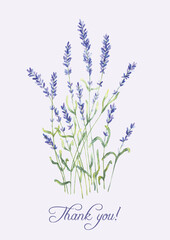 A watercolor artistic hand drawn group of lavender flowers and a writing "Thank you!" with a real aquarelle paper texture on light background for design of text, labels, greeting and invitation cards