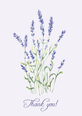 Naklejka premium A watercolor artistic hand drawn group of lavender flowers and a writing 