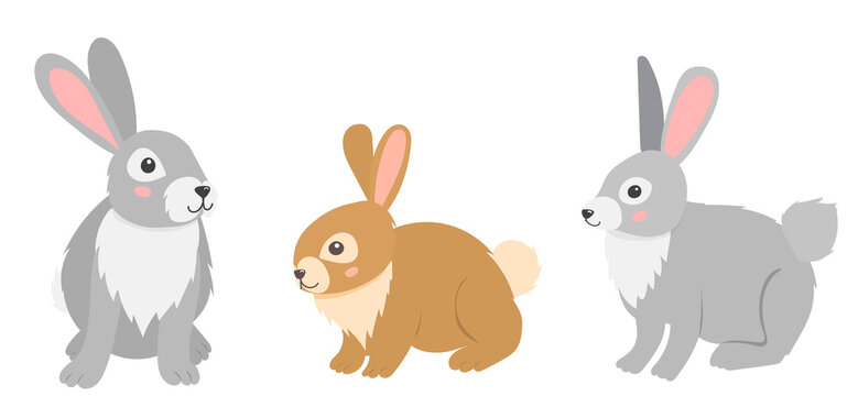 rabbits character flat design, isolated, vector