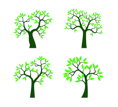 Set Green Trees. Vector outline Illustration.