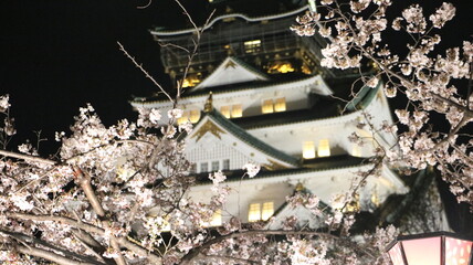 大阪城と桜