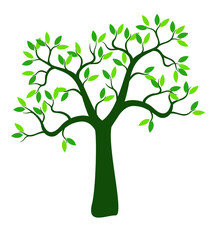 Green Tree with Leaves. Vector outline Illustration.