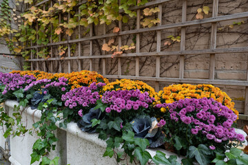 Beautiful Autumn Garden with Colorful Flowers and a Trellis