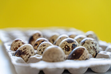Spotted quail eggs in an egg box on a yellow background, natural eco friendly products.