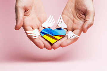 person holding heart colored ukrainian flag colors over pink background. heart symbol with wings. pray for ukraine concept. helping hand for ukraine nation people conceptual