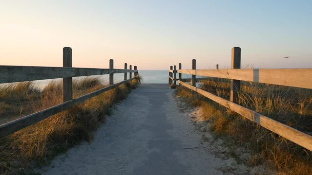 Path to a beautiful beach in the Netherlands