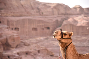 ヨルダン　ペトラ遺跡の風景