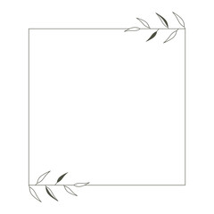 Fototapeta premium leaves isolated on white