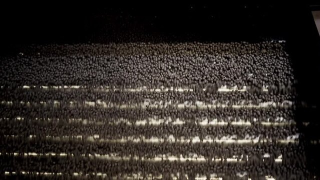 Pellet screening process for separating iron ore pellet fractions. Part of the technological process for the processing of minerals. Raw material for metallurgy.