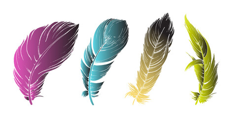 set of colored gradient bird feathers  set of bird feathers, isolated vector drawing,colored gradient