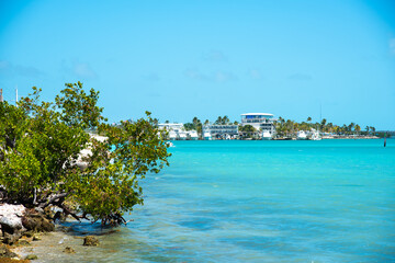 Boats moored in the Florida Keys