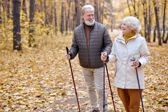 Happy aged couple in love engaged in Nordic walking going in autumn nature park, forest. Concept of active elderly people during retirement. Everyday joy lifestyle without age limitation.